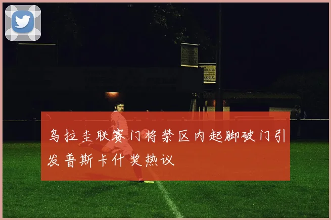 乌拉圭联赛门将禁区内起脚破门引发普斯卡什奖热议