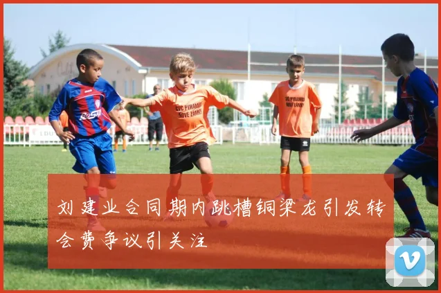 刘建业合同期内跳槽铜梁龙引发转会费争议引关注