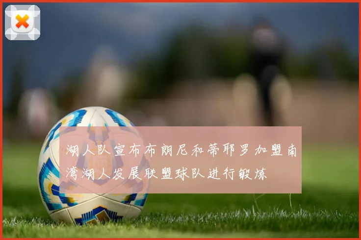 湖人队宣布布朗尼和蒂耶罗加盟南湾湖人发展联盟球队进行锻炼