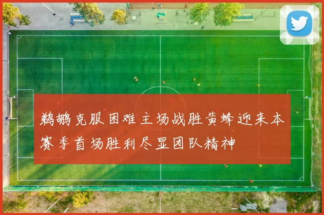 鹈鹕克服困难主场战胜黄蜂迎来本赛季首场胜利尽显团队精神